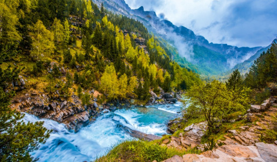 Parcs nationaux en Espagne