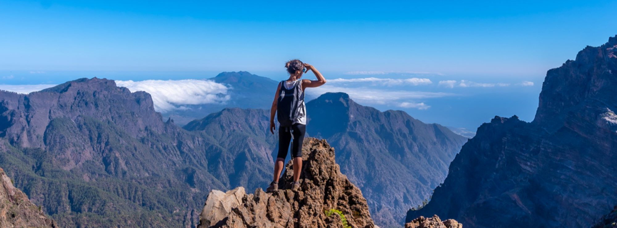 la palma