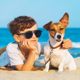 Ferien mit Hund